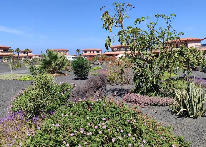 Punta Calma Majanicho