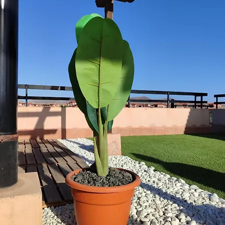 Punta Calma * Majanicho